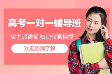 北京高考一对一辅导班