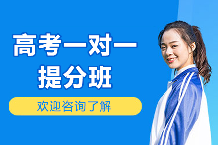 线上高考一对一提分班