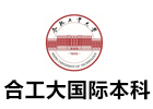 合工大国际本科