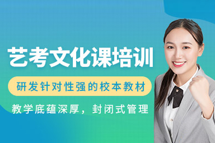 北京艺考文化课培训班