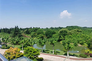 學(xué)校環(huán)境