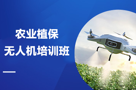 耒阳农业植保无人机培训班