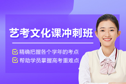 武汉艺考文化课冲刺班