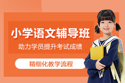 武汉小学语文辅导班
