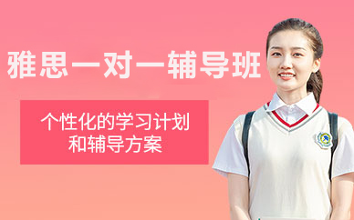 北京雅思一对一辅导班