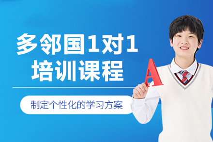 成都多邻国一对一培训