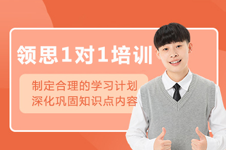 成都领思一对一培训班