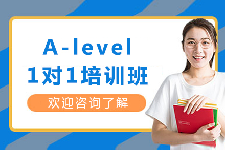 成都A-level一对一培训