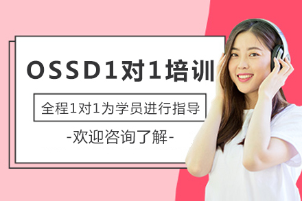 成都OSSD一对一培训