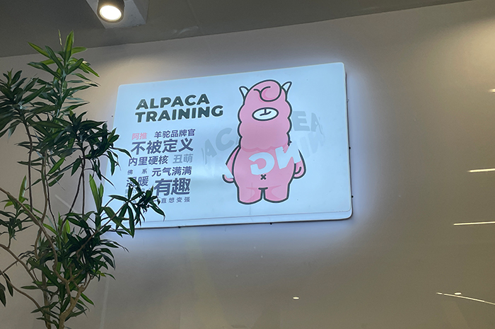 机构相册