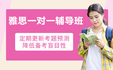 北京雅思一对一辅导班