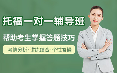 北京托福一对一辅导班