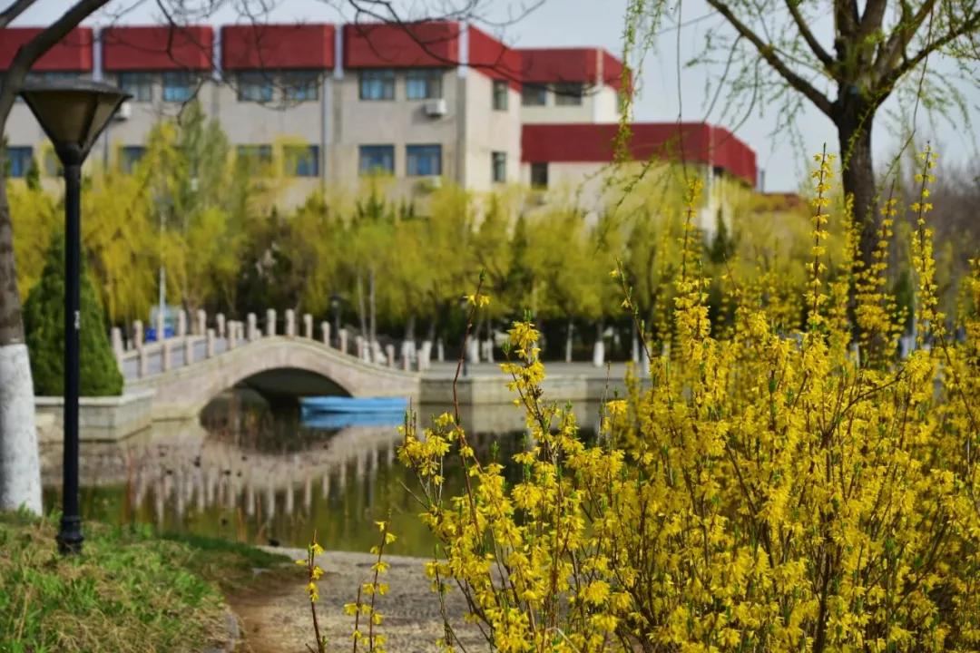 校园环境