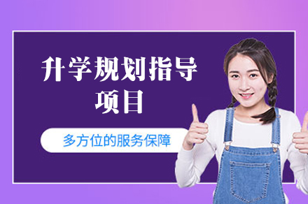 港硕升学规划指导项目