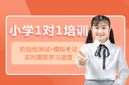 泸州小学全科1对1培训