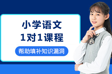 泸州小学语文1对1课程