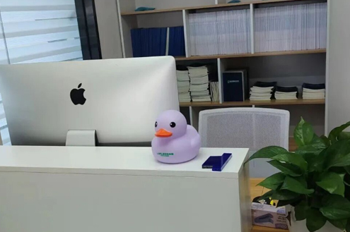 学校环境