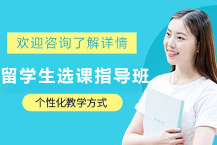昆明留学生1对1选课指导班