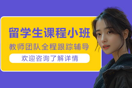 昆明留学生课程小班辅导