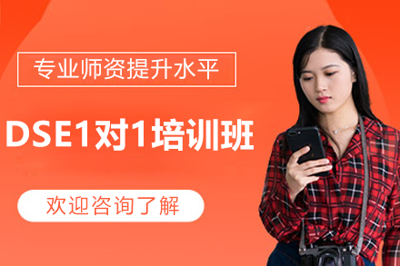 深圳DSE1对1培训班