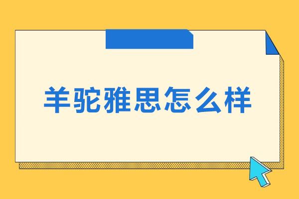 呼和浩特羊驼雅思怎么样