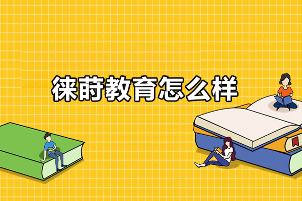 东莞徕莳教育怎么样