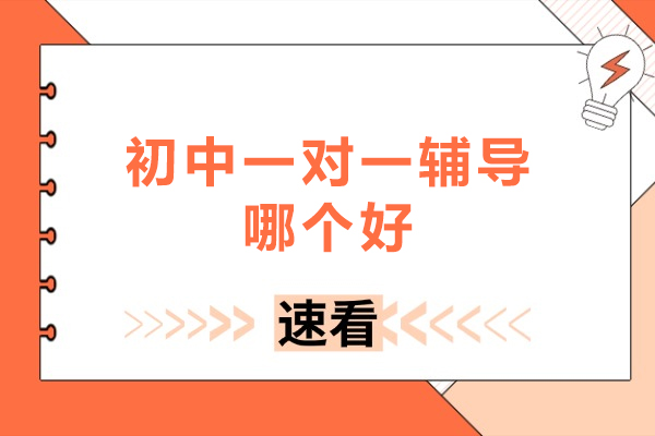 初中一对一辅导哪个好-初中一对一辅导推荐