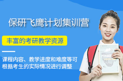 保研飞鹰计划集训营