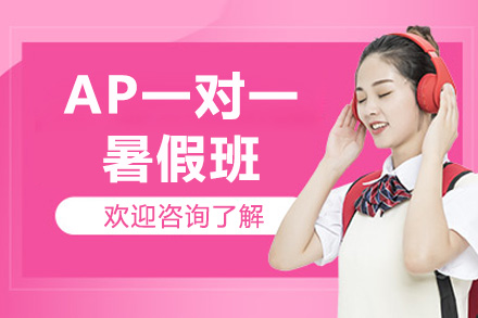 AP一对一暑假班