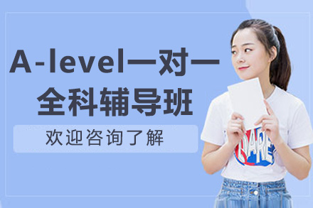 A-level一对一全科辅导班