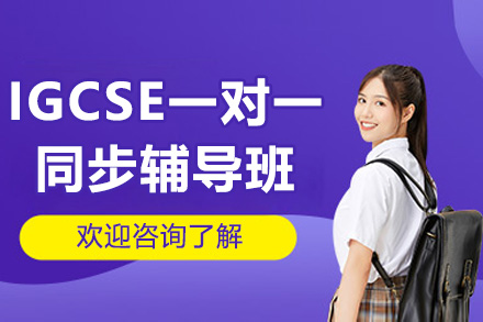 IGCSE一对一同步辅导班