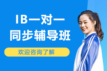 IB一对一同步辅导班
