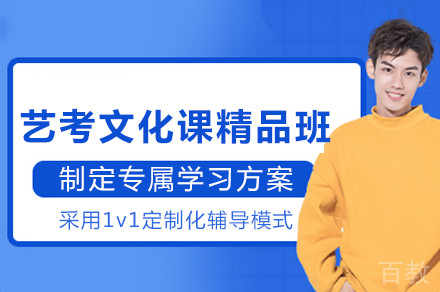 成都艺考文化课精品班