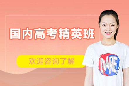 深圳市国内高考精英班