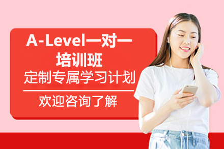 广州A-Level一对一培训班