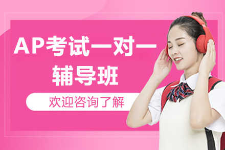 广州AP考试一对一辅导班
