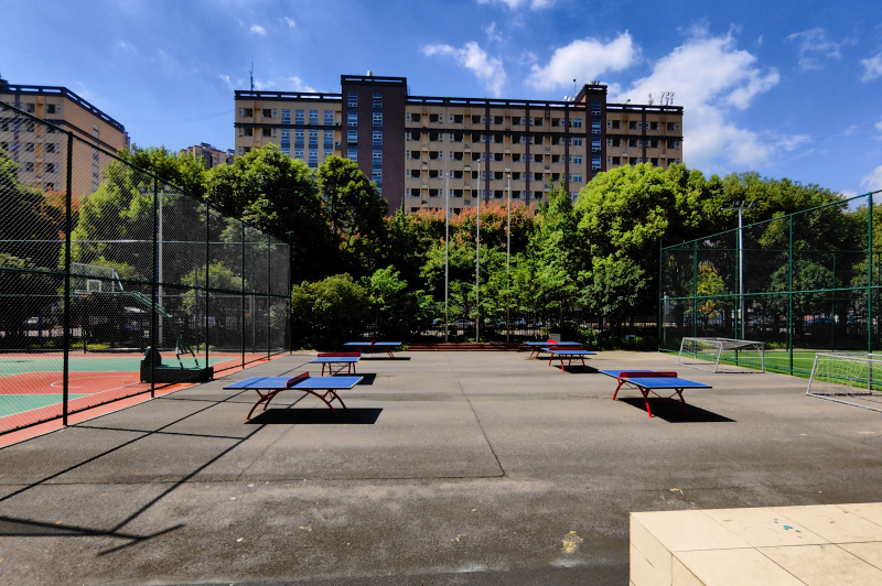 成都新学高考学校
