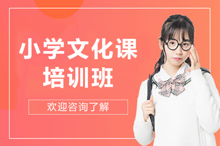 沈阳小学文化课培训班