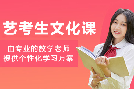 沈阳艺考生文化课培训班