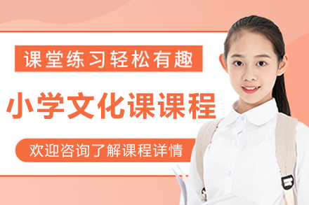 大连小学文化课培训课程