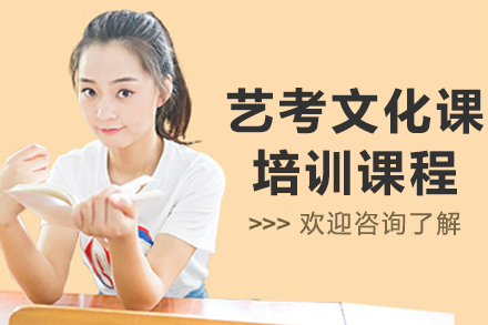 大连艺考文化课培训课程