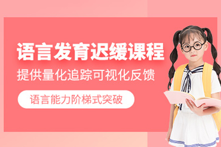 重庆语言发育迟缓培训