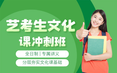 北京艺考生文化课冲刺班
