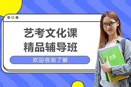 上海艺考文化课精品辅导班
