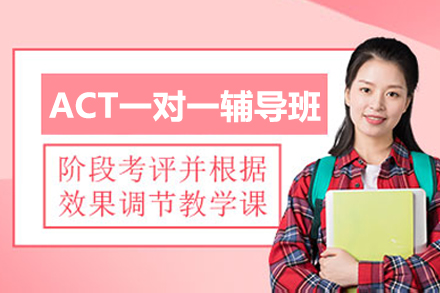 深圳ACT一对一辅导班