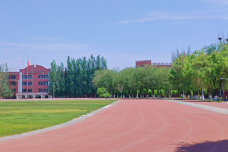 上海新梦想教育