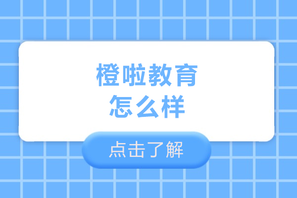 哈尔滨橙啦教育怎么样