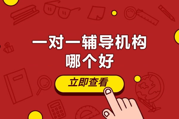 厦门一对一辅导机构哪个好