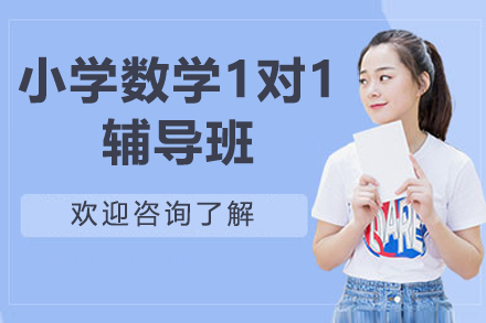 深圳小学数学1对1辅导班