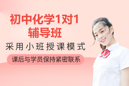 深圳初中化学1对1辅导班